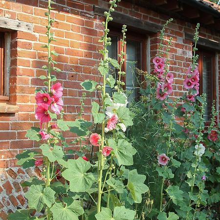 Elm Tree Barn Vila Felmingham Exterior foto
