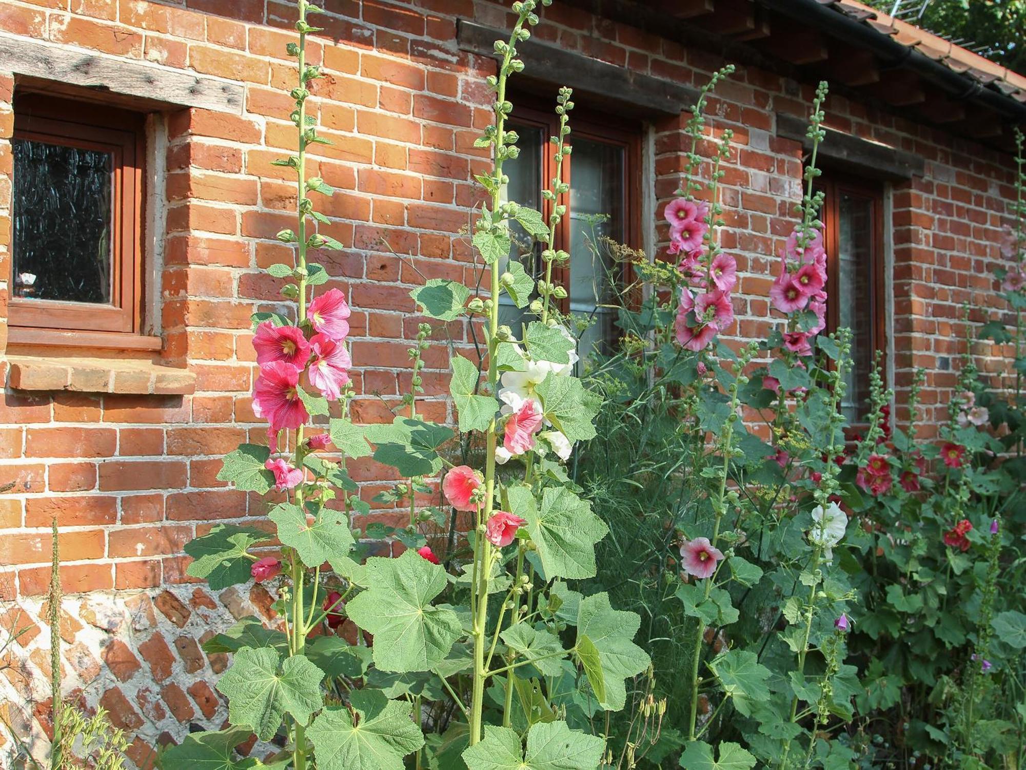 Elm Tree Barn Vila Felmingham Exterior foto